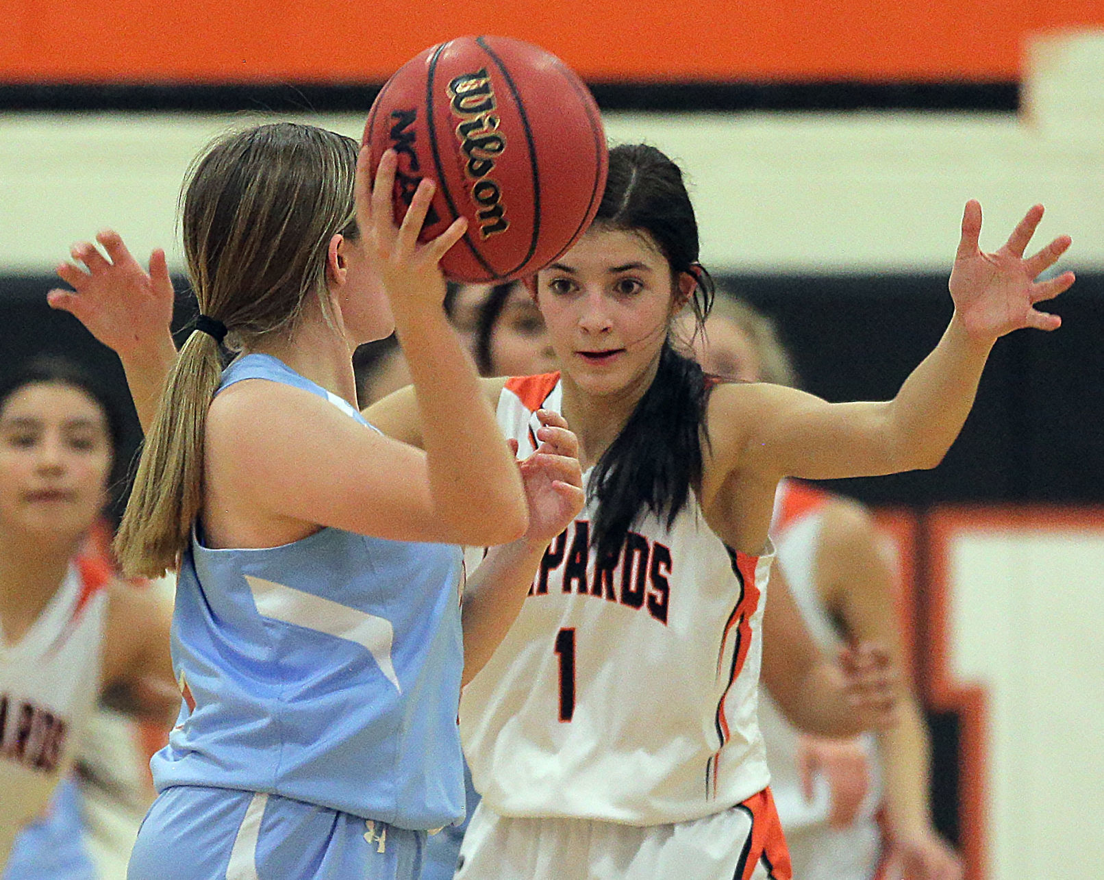 Owyhee at Wells Girls Basketball (101).jpg